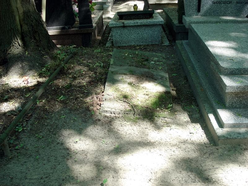 Zdjęcie grobu: Stanisława Trzebińska