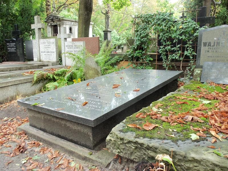 Zdjęcie grobu Mieczysław Krzepkowski (2)