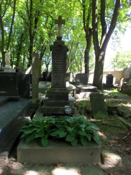 Zdjęcie grobu: Zygmunt Laryssa Domański