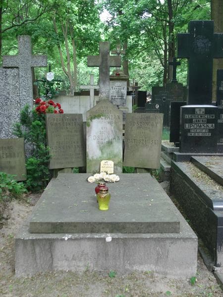 Zdjęcie grobu: Teodor Gościniak