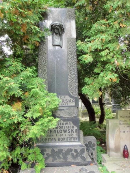 Zdjęcie grobu Stanisława Michałowska (2)