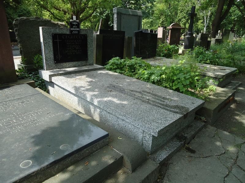 Zdjęcie grobu Stanisław Ceglecki (1)