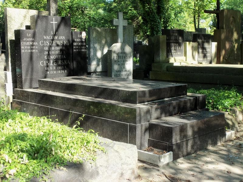 Zdjęcie grobu Wacław Jan Ciszewski (1)