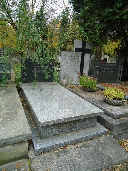 Zdjęcie grobu Romuald Hensel (1)