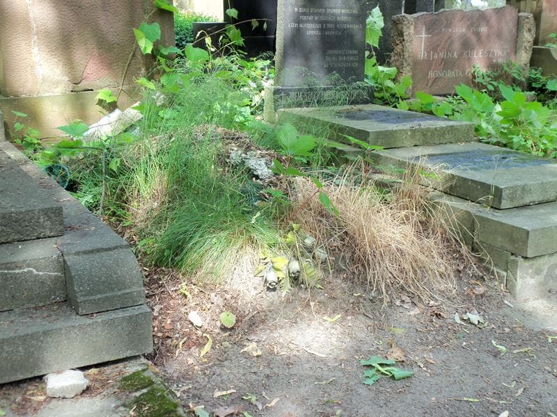 Zdjęcie grobu Stanisław Myśliński (1)