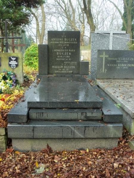 Zdjęcie grobu: Antoni Buczek