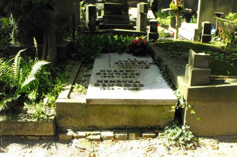Zdjęcie grobu: Henryka Długosz