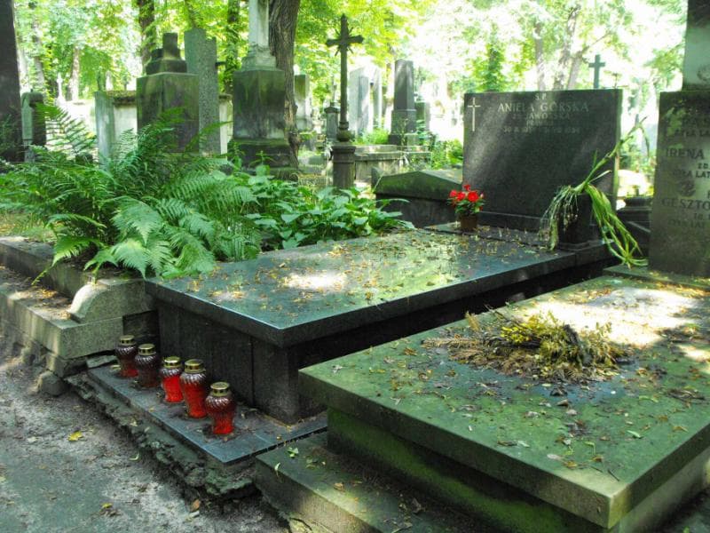 Zdjęcie grobu Aniela Górska (1)