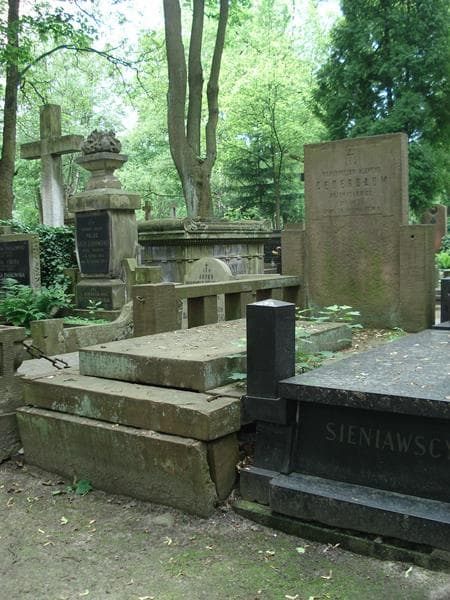 Zdjęcie grobu Maksymiljan Klemens Cederbaum (1)