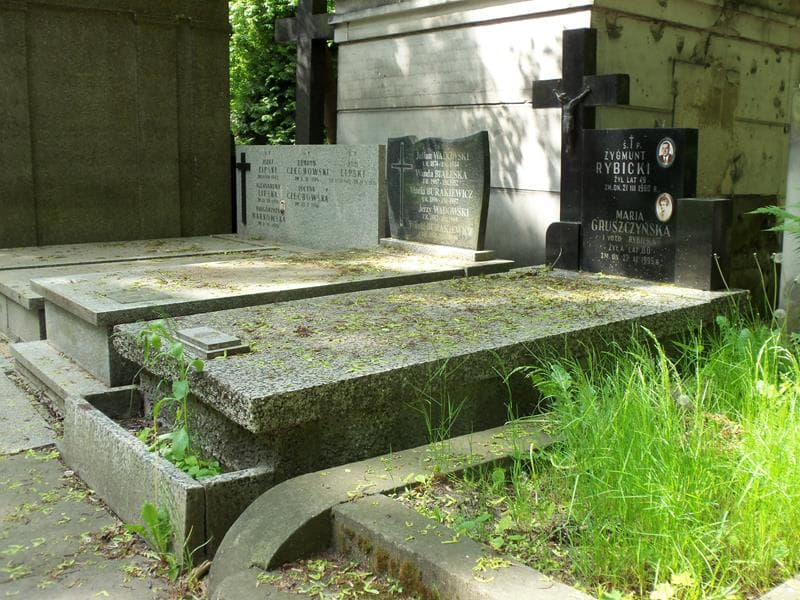 Zdjęcie grobu Zygmunt Rybicki (1)
