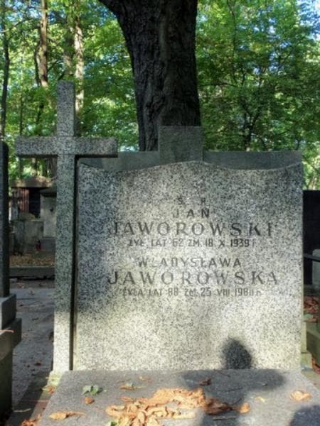 Zdjęcie grobu Władysława Jaworowska (2)