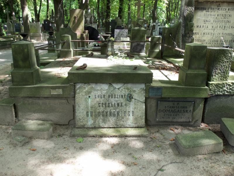 Zdjęcie grobu: Stanisława Domagalska