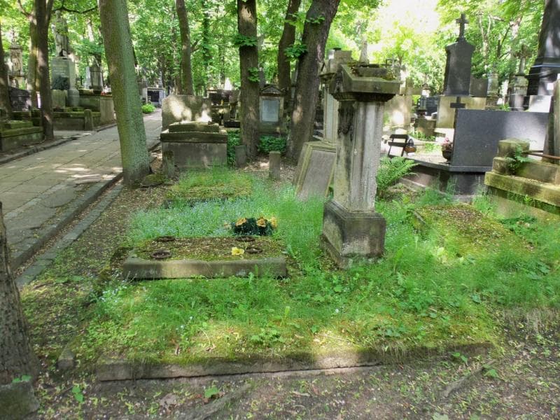 Zdjęcie grobu Franciszek Podbielski (1)