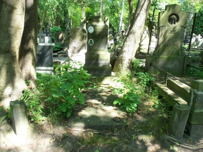 Zdjęcie grobu: Teofila Gabryszewska