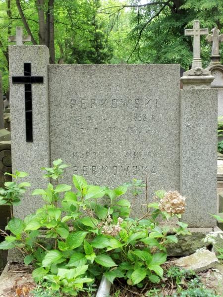 Zdjęcie grobu Karolina Perkowska (2)