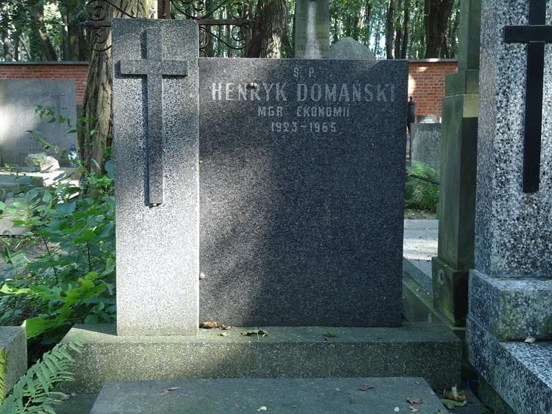 Zdjęcie grobu Henryk Domański (2)