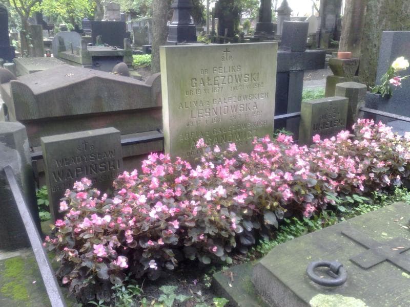 Zdjęcie grobu Zofia Assanowicz (1)