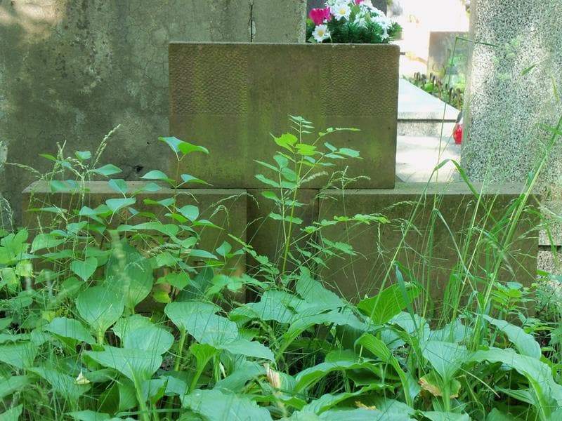 Zdjęcie grobu Franciszek Hubner (2)