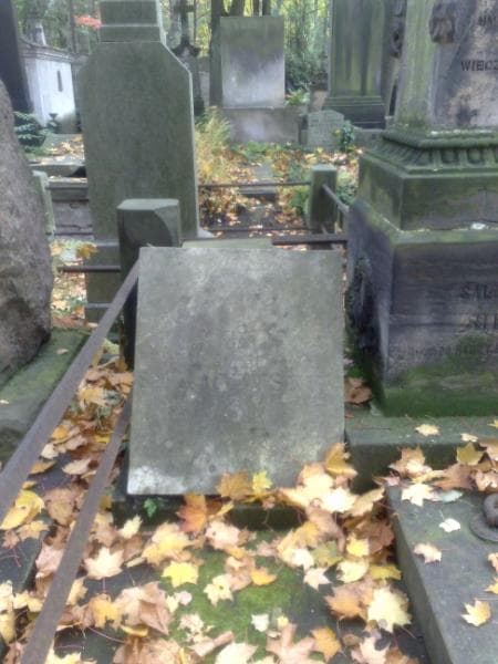 Zdjęcie grobu Izabella Siekaczyńska (2)