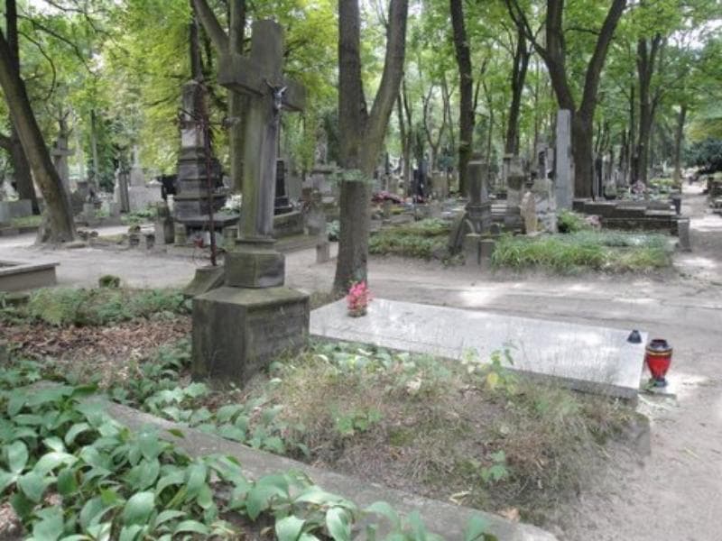Zdjęcie grobu Karolina Matief (1)