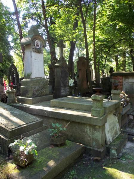 Zdjęcie grobu Franciszka Józefa Brzezińska (1)