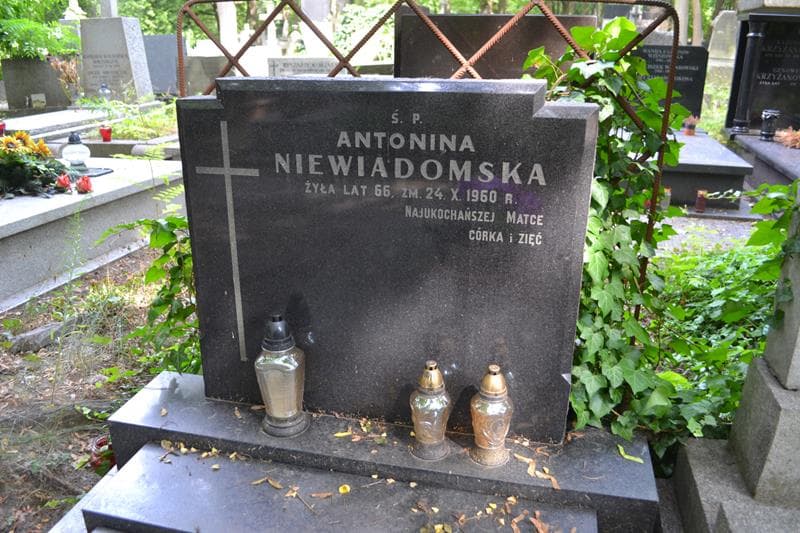 Zdjęcie grobu Antonina Niewiadomska (2)