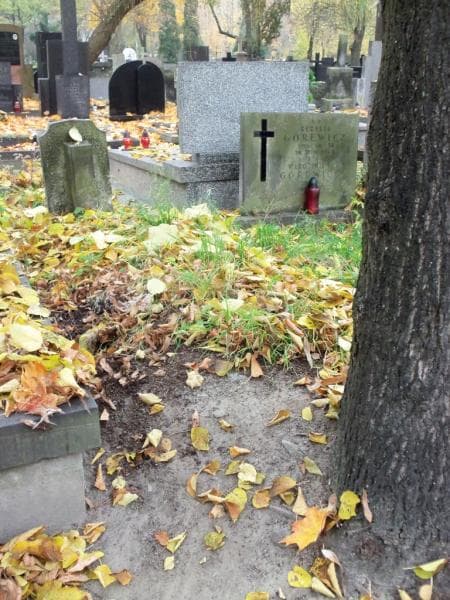 Zdjęcie grobu: Pole Grobowe/anonim