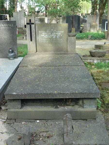 Zdjęcie grobu: Henryk Buzun