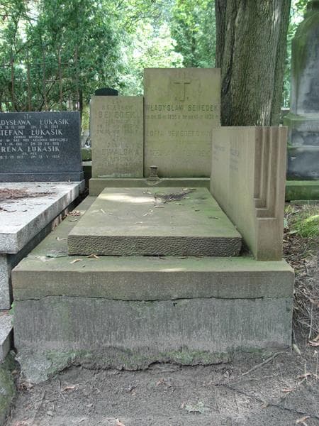 Zdjęcie grobu: Bolesław Benedek