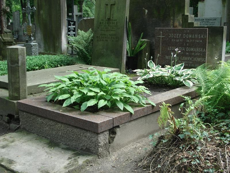 Zdjęcie grobu Józef Domański (1)
