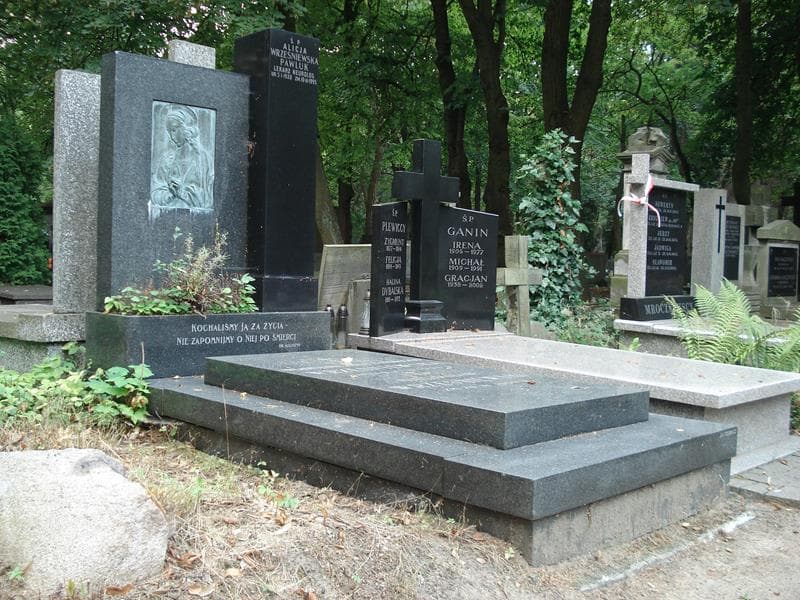 Zdjęcie grobu Alicja Wrześniewska (1)