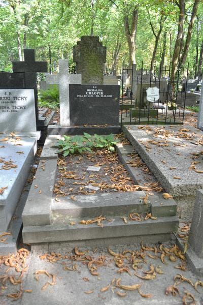 Zdjęcie grobu Michalina Chłopik (1)