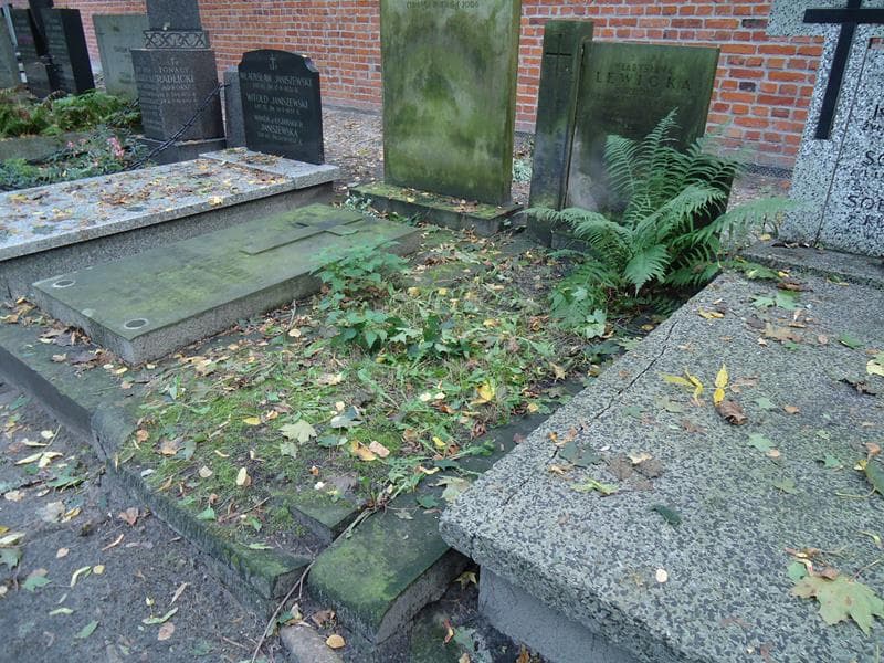 Zdjęcie grobu Władysława Lewicka (1)