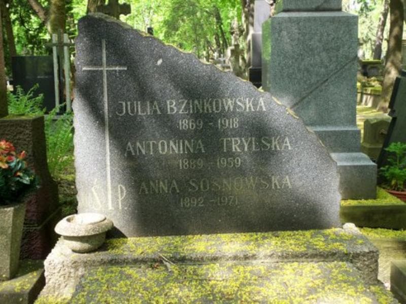 Zdjęcie grobu Julia Bzinkowska (2)