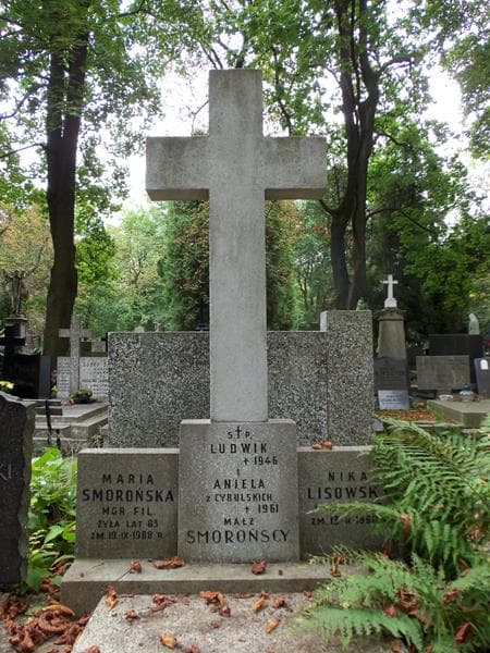Zdjęcie grobu Nika Lisowska (2)