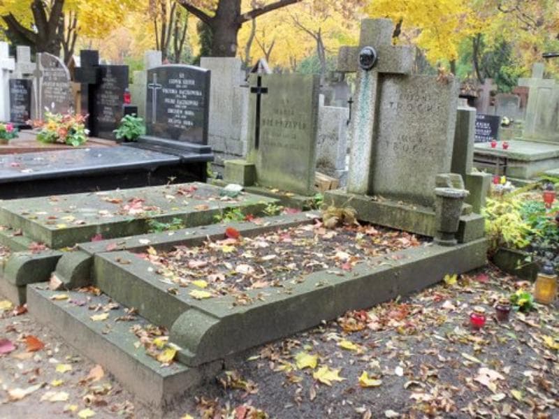 Zdjęcie grobu Cecylia Trocka (1)