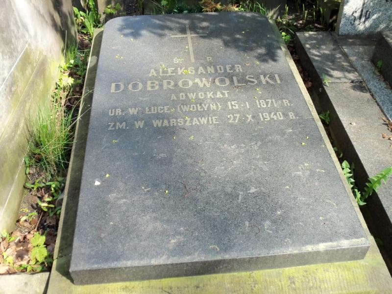 Zdjęcie grobu Aleksander Dobrowolski (2)