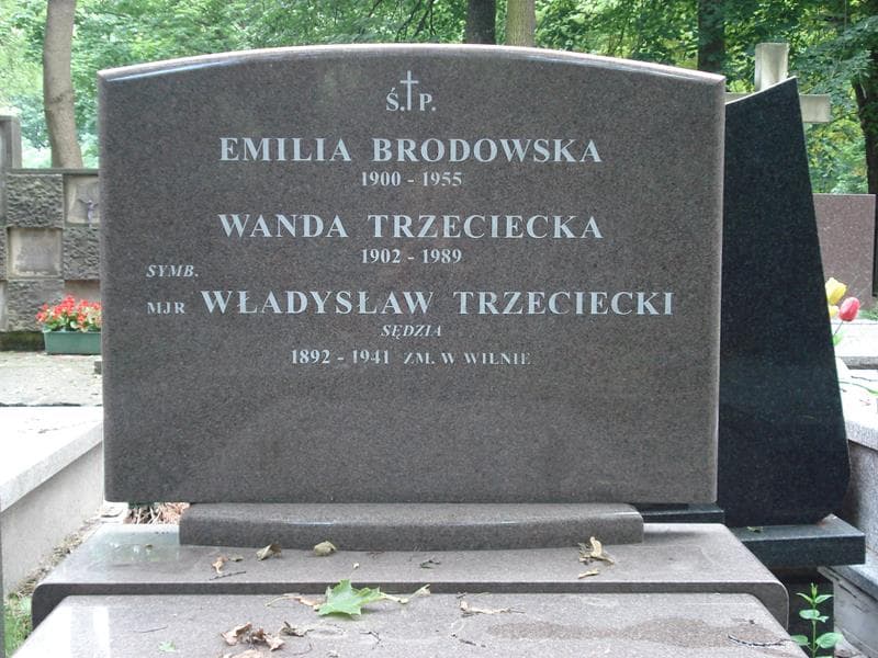 Zdjęcie grobu Emilia Brodowska (2)