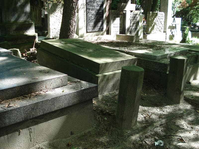 Zdjęcie grobu Kazimierz Goszczyński (1)