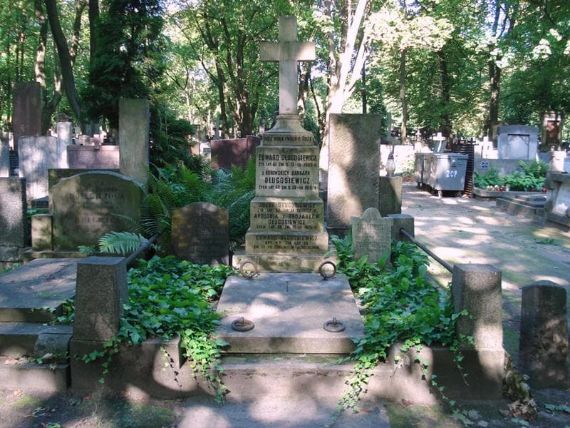 Zdjęcie grobu Barbara Długosiewicz (1)