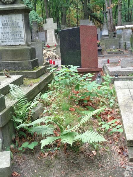 Zdjęcie grobu Pole Grobowe (1)