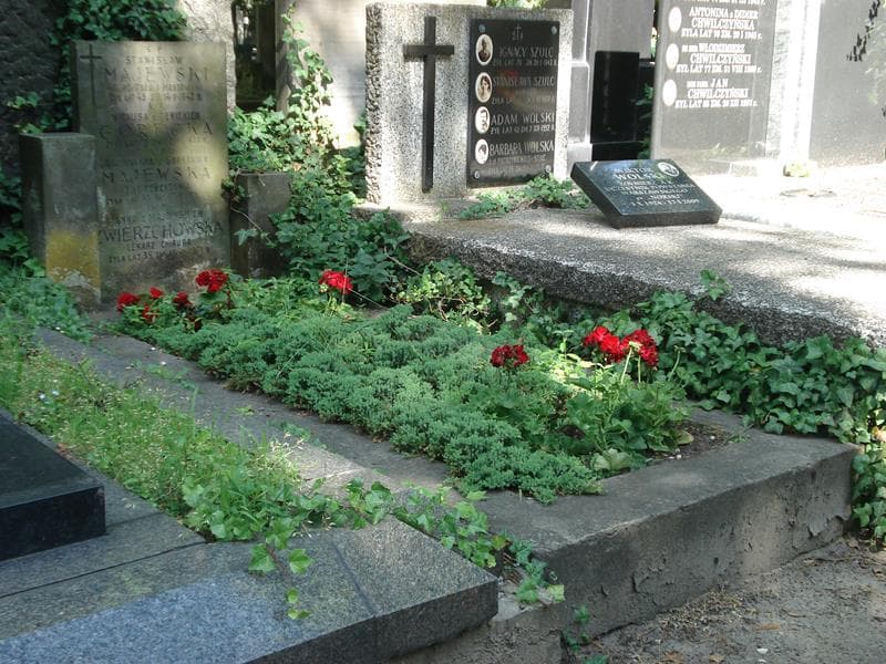 Zdjęcie grobu Stanisław Majewski (1)