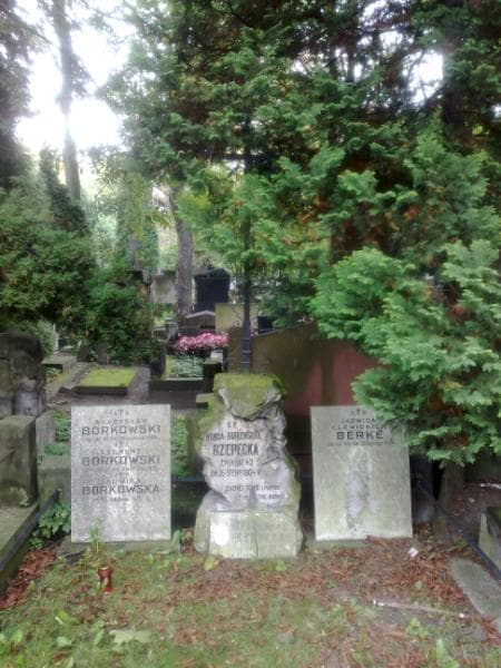 Zdjęcie grobu Władysław Borkowski (1)