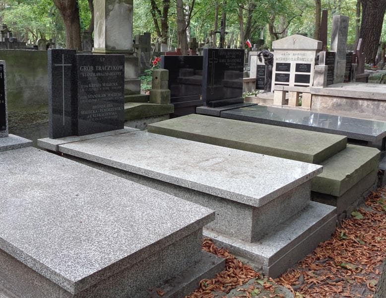Zdjęcie grobu: Stanisław Traczyk