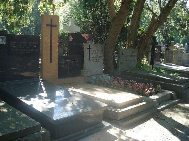 Zdjęcie grobu Franciszek Książek (1)