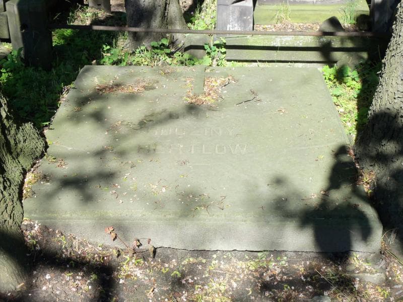 Zdjęcie grobu Hertlowie (2)
