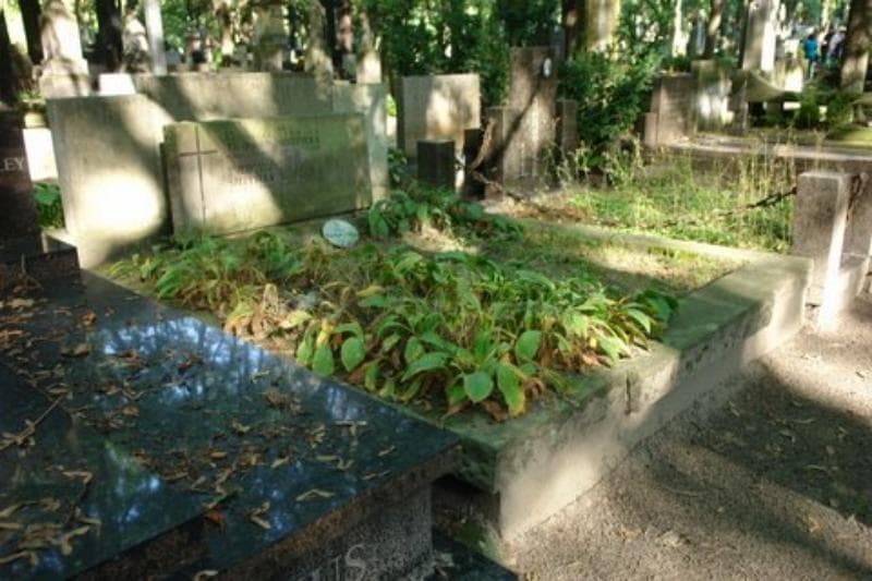 Zdjęcie grobu Kazimiera Thomas (1)