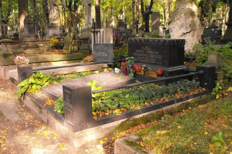 Zdjęcie grobu Krystyna Aleksandrowicz (1)