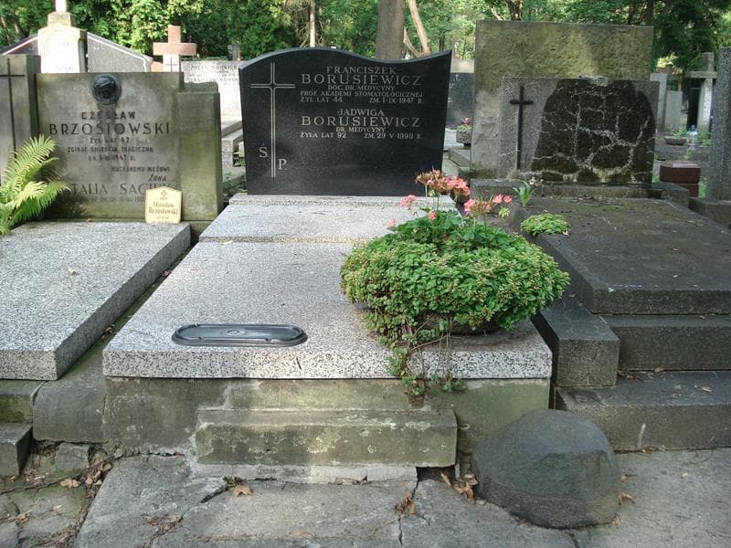 Zdjęcie grobu: Jadwiga Borusiewicz