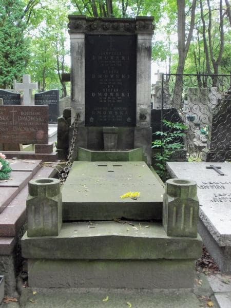 Zdjęcie grobu: Leontyna Dmowska